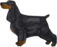 Black and Tan English Cocker Spaniel