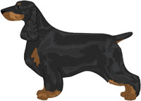 Black and Tan Field Spaniel