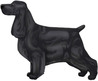 Black English Cocker Spaniel