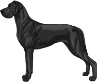 Black Great Dane