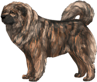 Brindle Masked Caucasian Mountain Dog