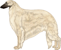 Cream with Black Mask Borzoi