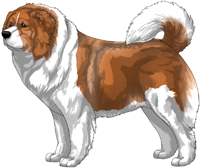 Irish Red Caucasian Mountain Dog