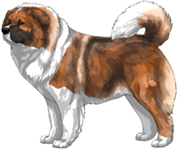 Irish Red Sable Masked Caucasian Mountain Dog