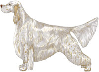 Lemon Belton English Setter