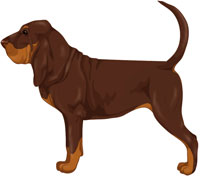 Liver Bloodhound