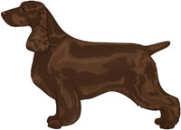 Liver Field Spaniel