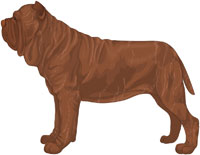 Mahogany Brindle Neapolitan Mastiff