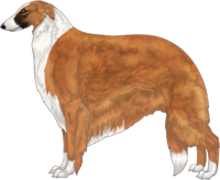 Red with Black Mask and Irish White Markings Borzoi