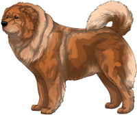 Red Caucasian Mountain Dog