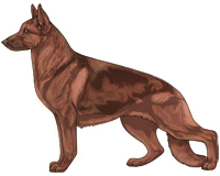 Saddleback Liver and Red German Shepherd Dog