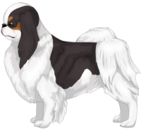 Download Japanese Chin Colors