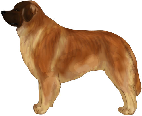 Leonberger